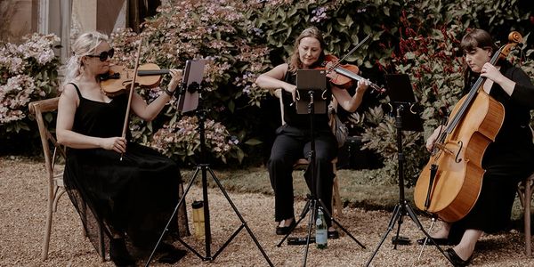 Yorkshire Violinist String Trio serenading drinks reception approved performer 