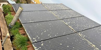 Dirty solar panels and grass growing out of gutter