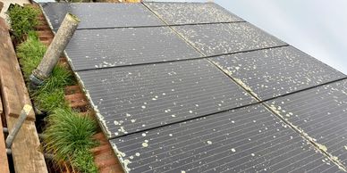 Dirty solar panels and grass growing out of gutter