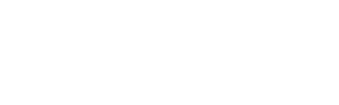 Videmus Consulting