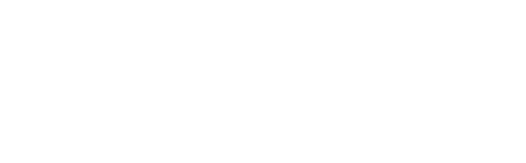 Videmus Consulting