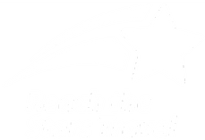 Reach the Stars Travel