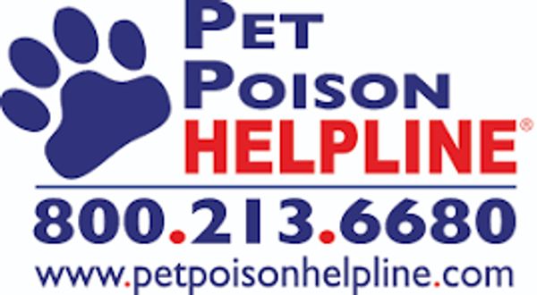 pet poision helpline