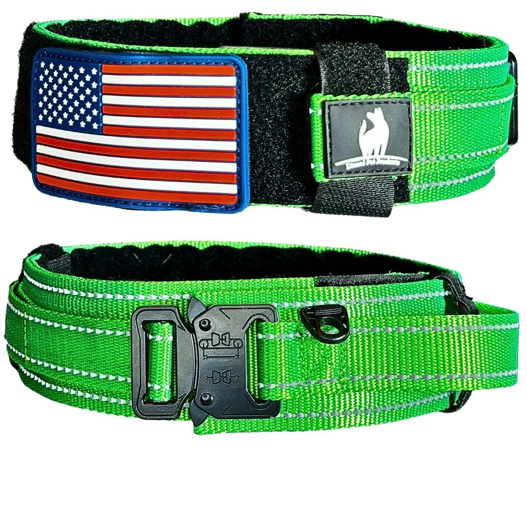 Buckle-Down Colorado Flags Dog Collar – Seat Belt Design, Large, Wasserfest & Robust
