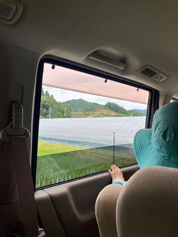Person looking out of a car window at a greenhouse.