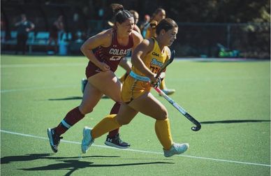 Two female field hockey players competing intensely during a match on a sunny day.