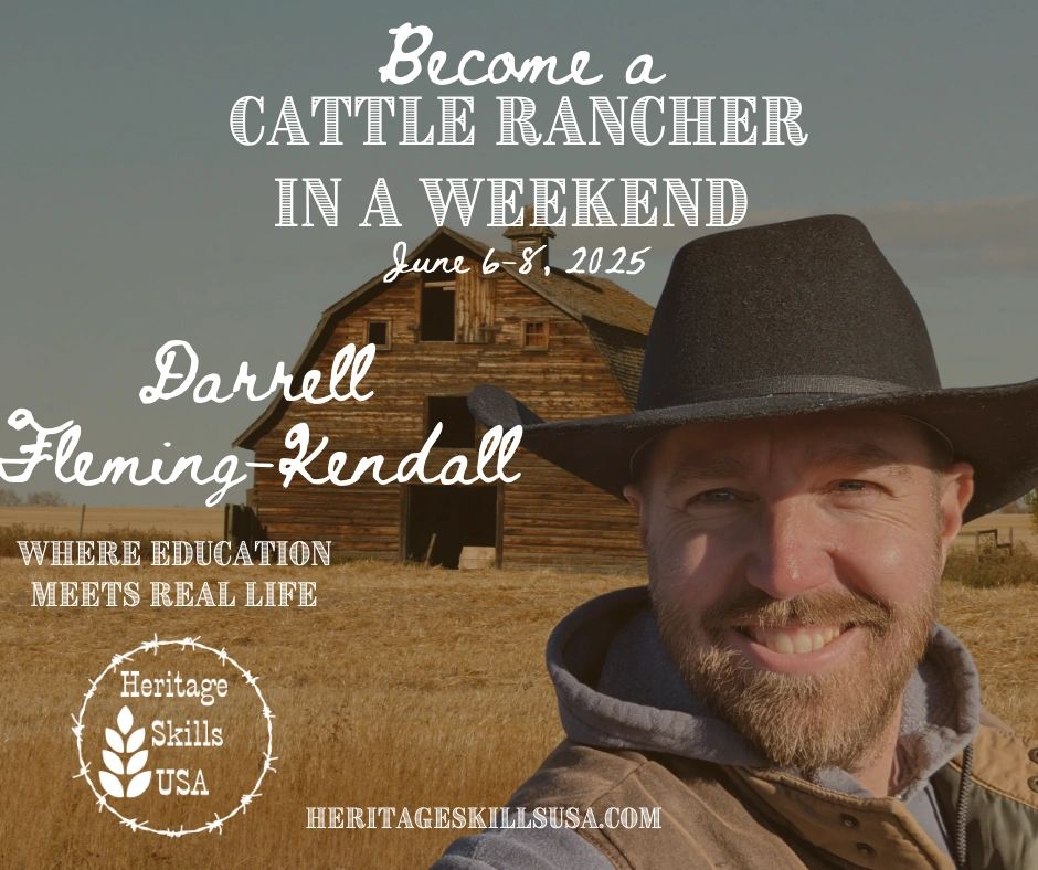 homesteaders in America cattle ranching