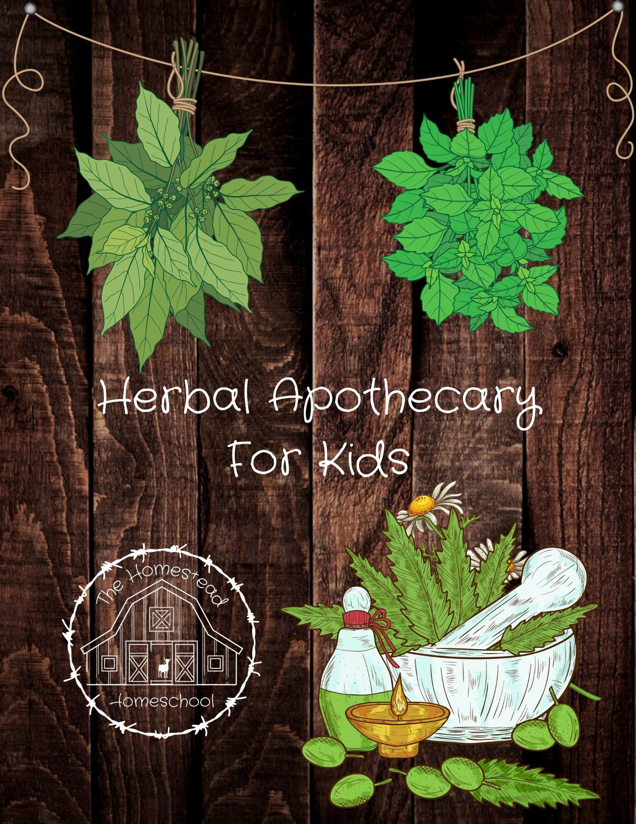 Herbal Apothecary For Kids Homeschool Unit - FREE for Network Members!