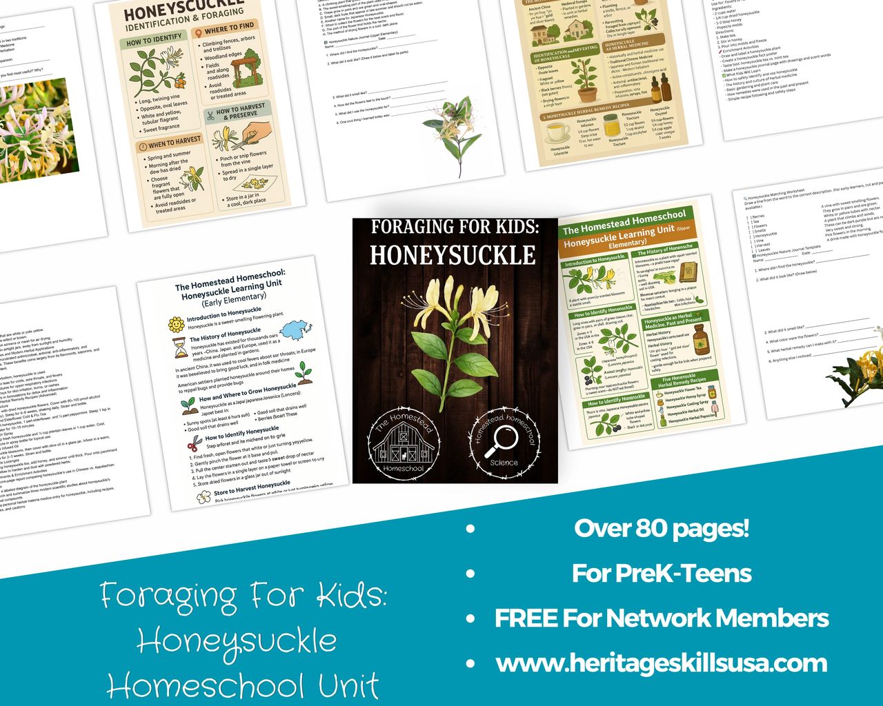 honeysuckle theme unit for kids