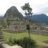image10