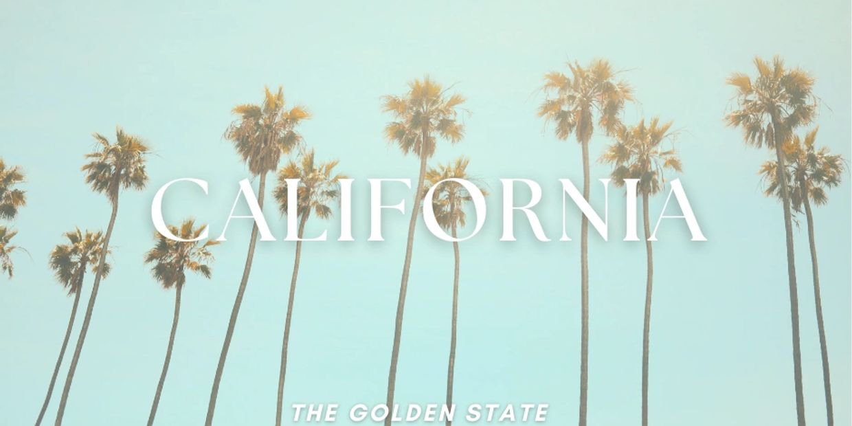 Palm trees set against a turquoise sky with the word california