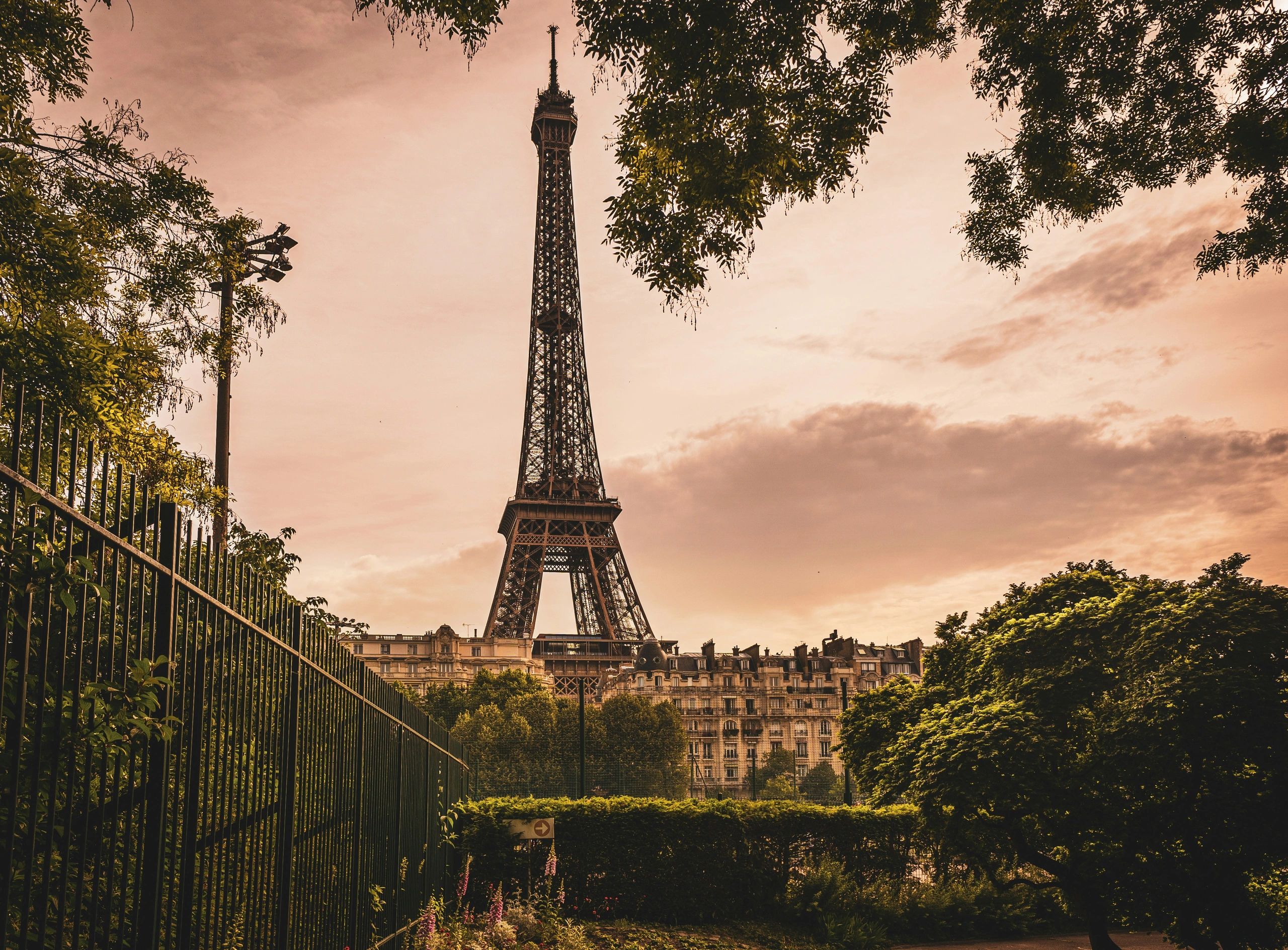 Distant view of Eiffel Tower with trees