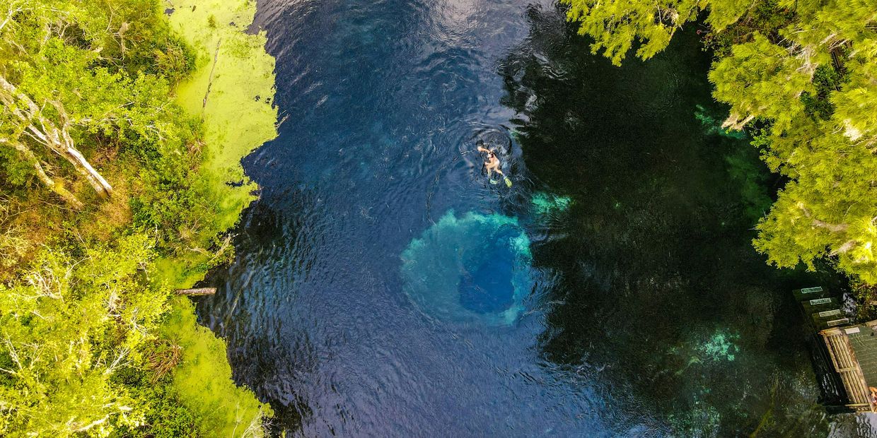 aerial view of spring with a person floating in the water and trees along the side