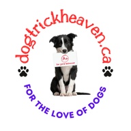 Dogtrickheaven