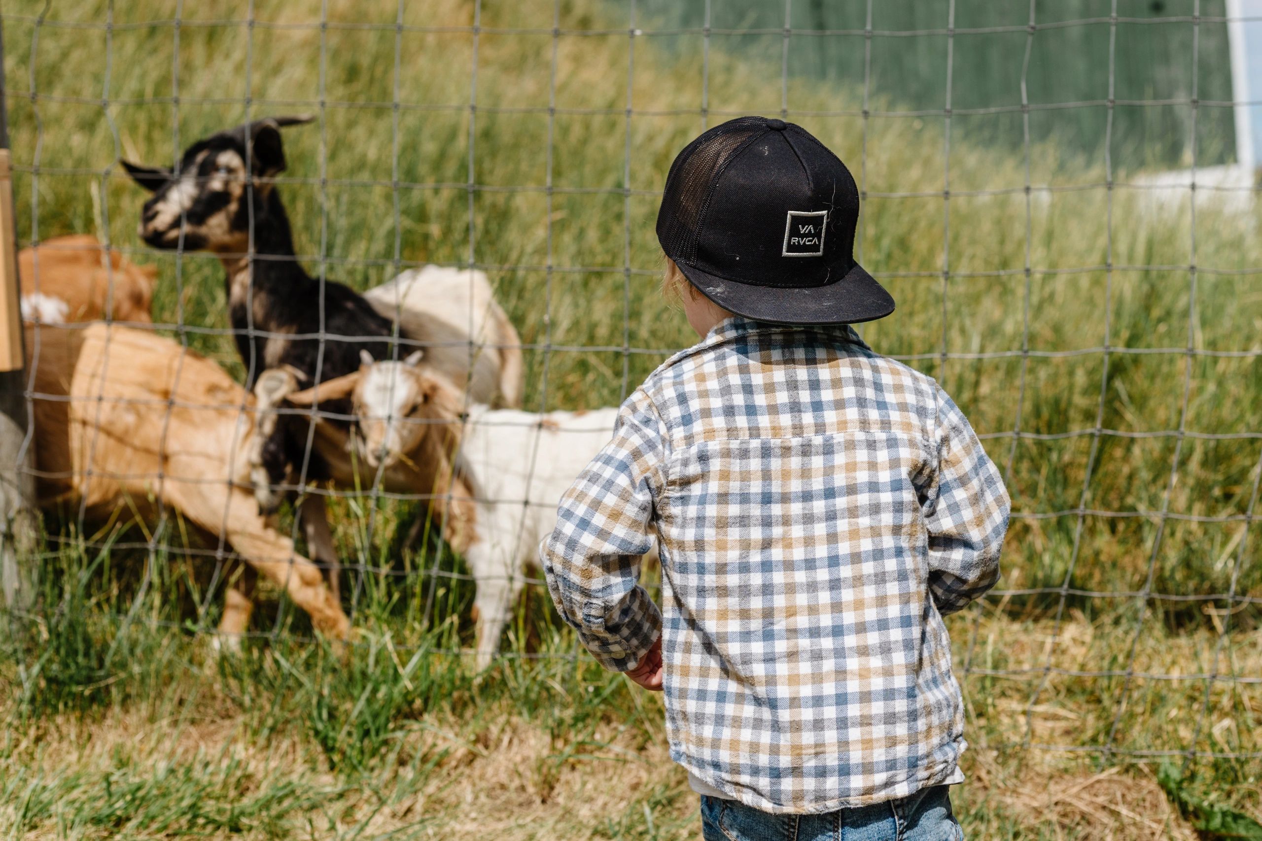 School Tours Watson Farms PYO