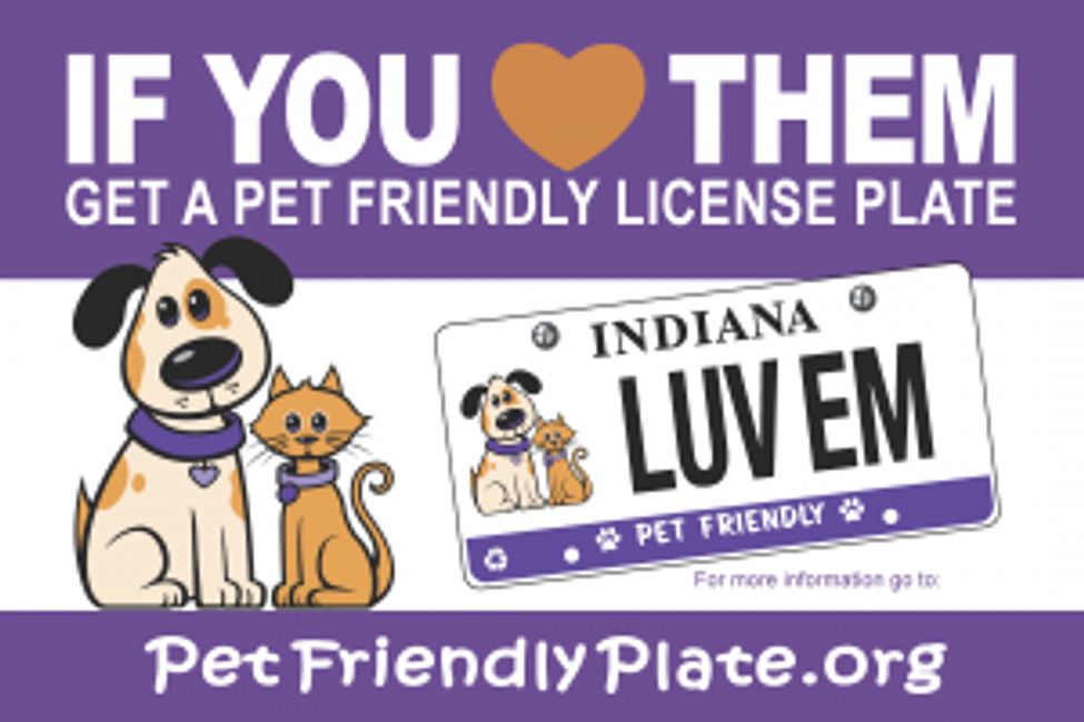 Animal Care Alliance