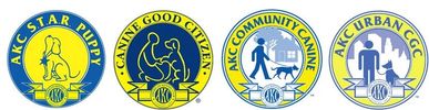 Four circular logos representing AKC dog training programs.