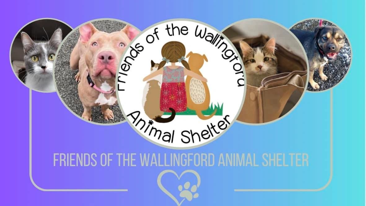 Support Animal Rescue at Wallingford Animal Shelter