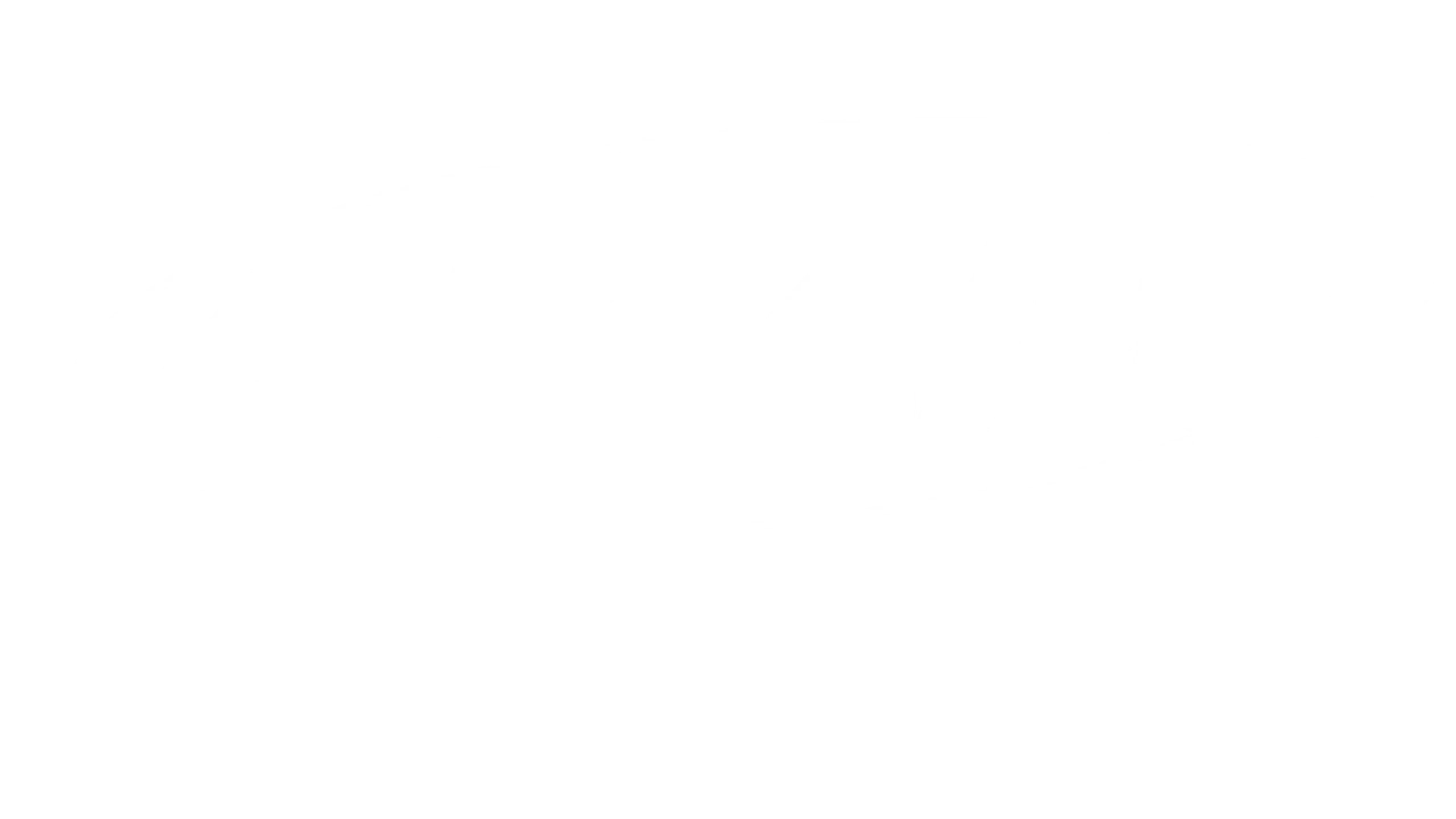 DJ Zig Zag