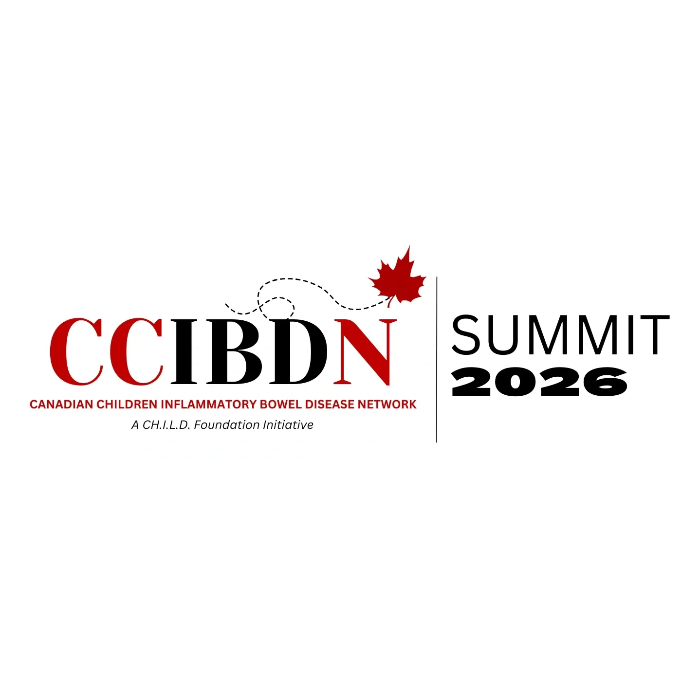 CCIBDN Summit logo