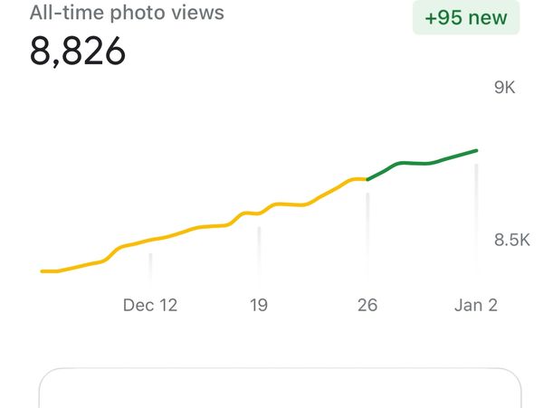 A picture of Courage Coach Jess google photos statistical data. 