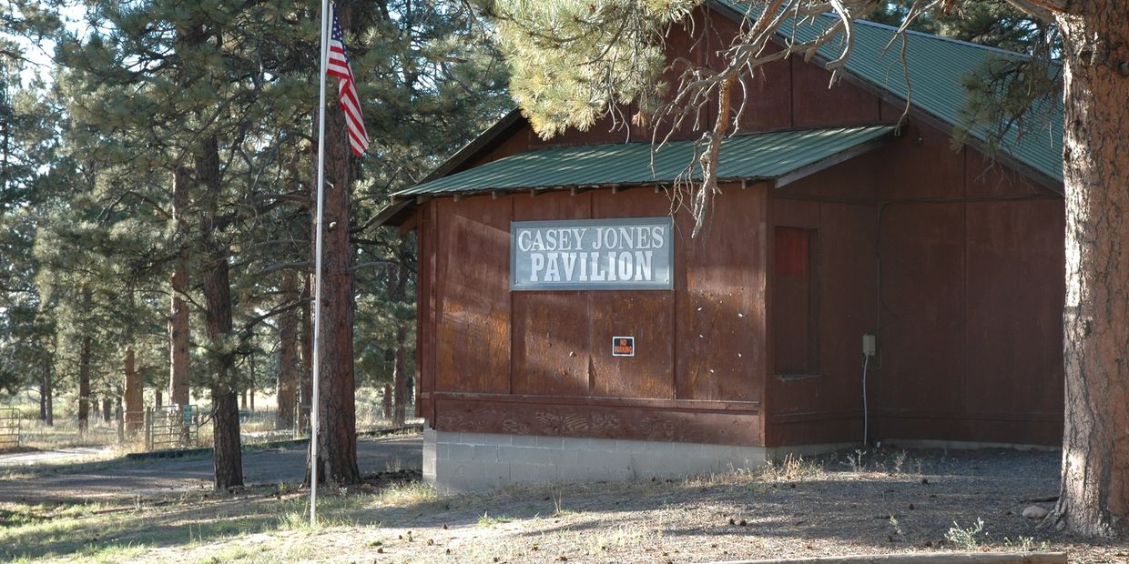 Image of Casey Jones Pavilion