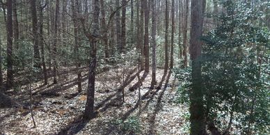 4.05 acre lot    