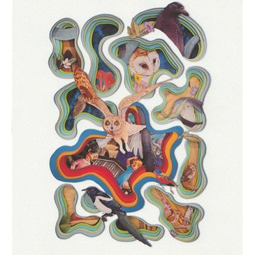 alexjcurrie visual artist
limited edition art prints