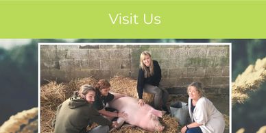 The Retreat Animal Rescue