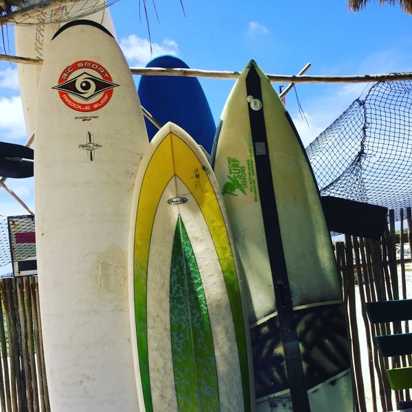 Three surfboards standing against a fence with a clear blue sky.