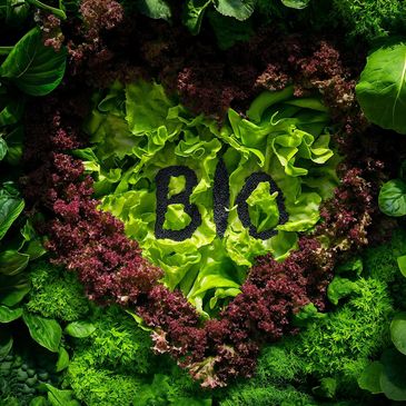 Fresh green and purple lettuce forming a heart shape with 'BIO' written in the center.