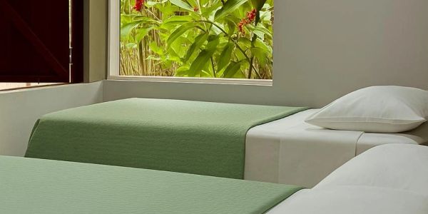 Habitación con dos camas y ventana a jardín.
