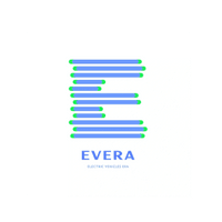 Electric Vehicles Era