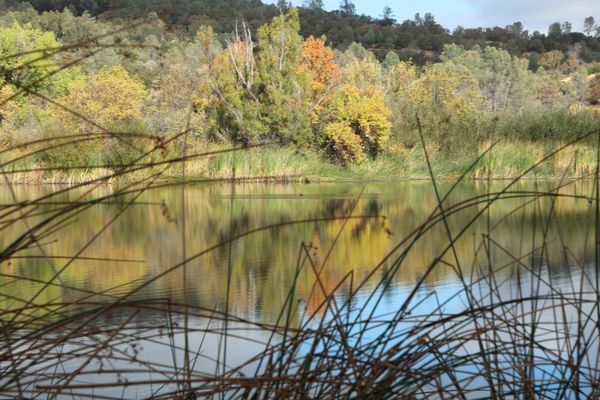 Adobe Creek Watershed