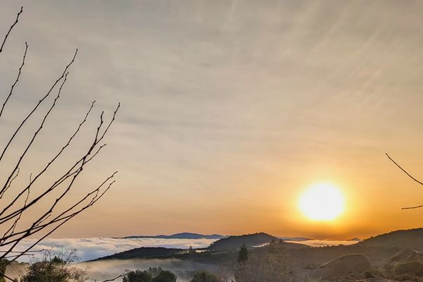 Sunrise on a foggy day