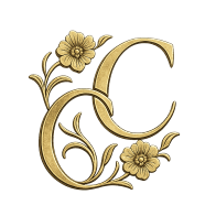 Cultura  Cempasúchil
