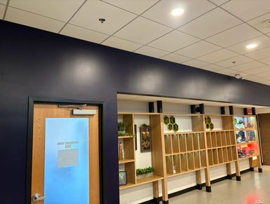 Wall Paint