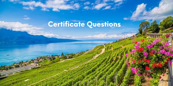 Certificate Questions - Q & A, with a pretty vineyard and blue sky