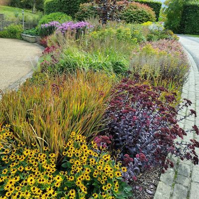 A vibrant garden bed with a variety of colorful flowers and plants along a curved pathway.