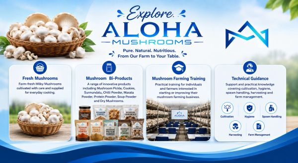 Promotional banner for Aloha Mushrooms and related products and services.