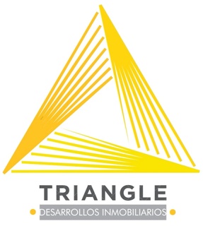Desarrollos Inmobiliarios Triangle Team