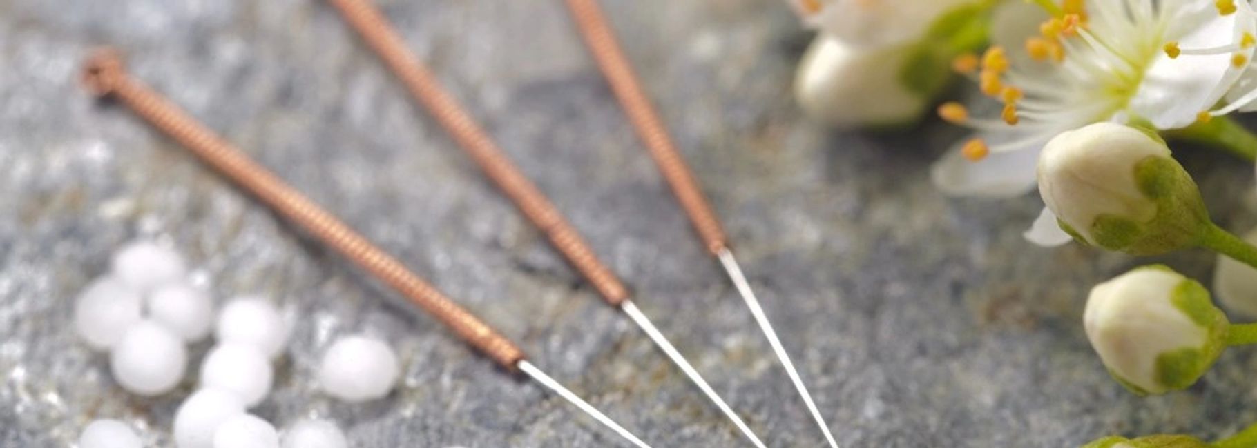 Veterinary Acupuncture Moon Mobile Veterinary Service Moon Mobile