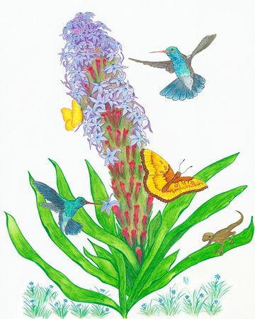 Colorful hummingbirds and butterflies around a tall purple flower with green leaves.