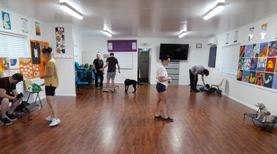 group dog training session