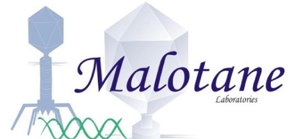 malotanelaboratories.life