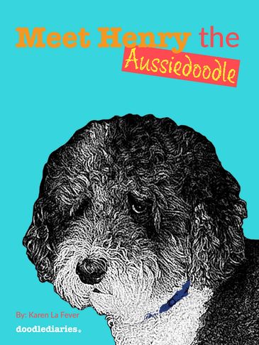 Meet Henry the Aussiedoodle