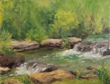 Falls at Franklin Park
8"x10", oil