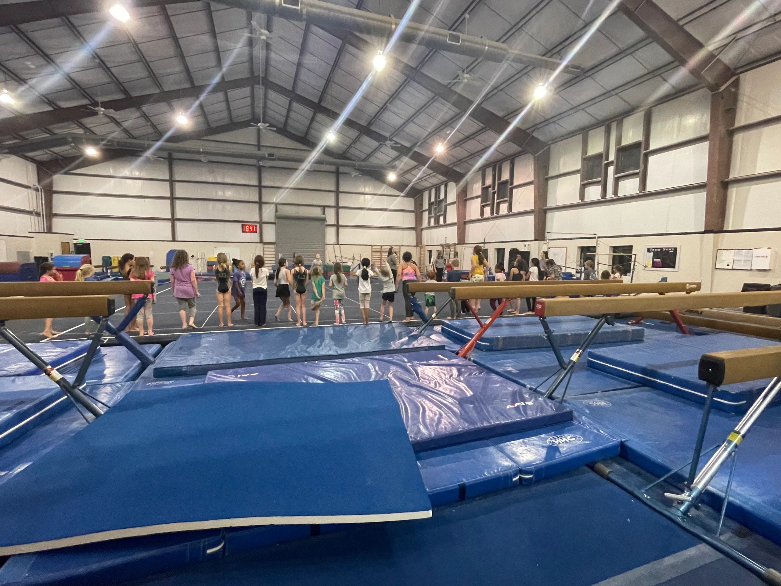 Summer Day Camps – Performance Gymnastics Academy