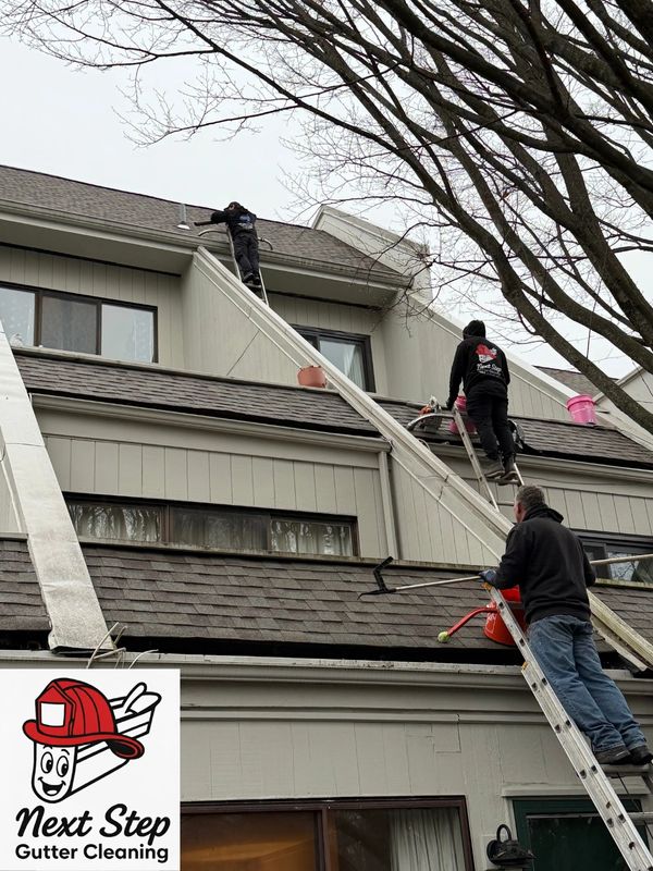 Roof Cleaning Company Near Me Glendora, CA