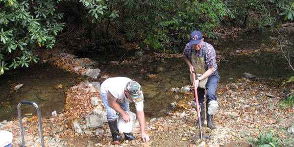 Rock Hunting Down by the River